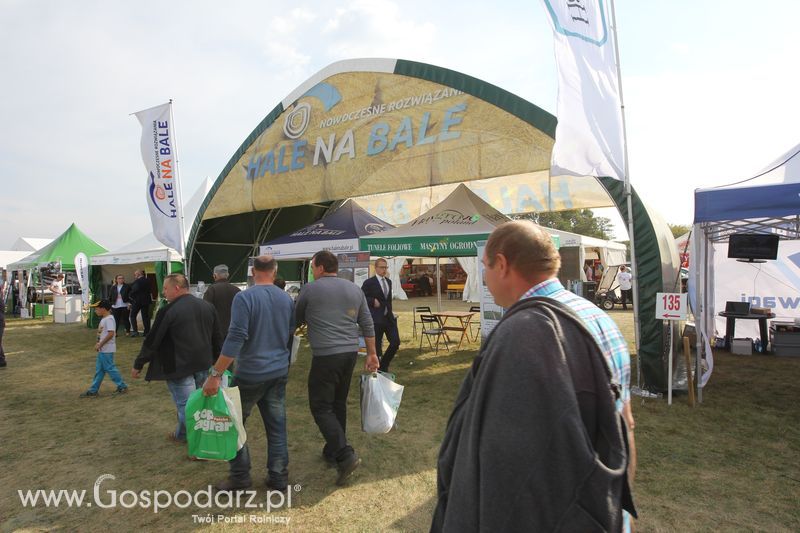 AGRO SHOW Bednary 2016 - Piątek