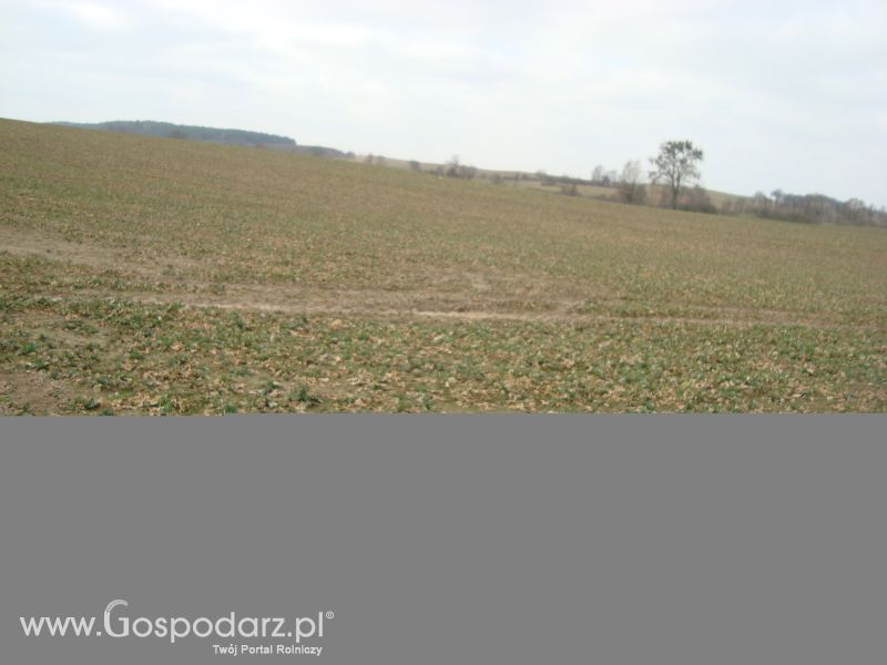 Moje zdjęcia