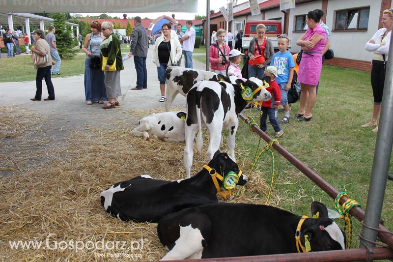 Wielkopolskie Targi Rolnicze „Sielinko 2011” - Niedziela