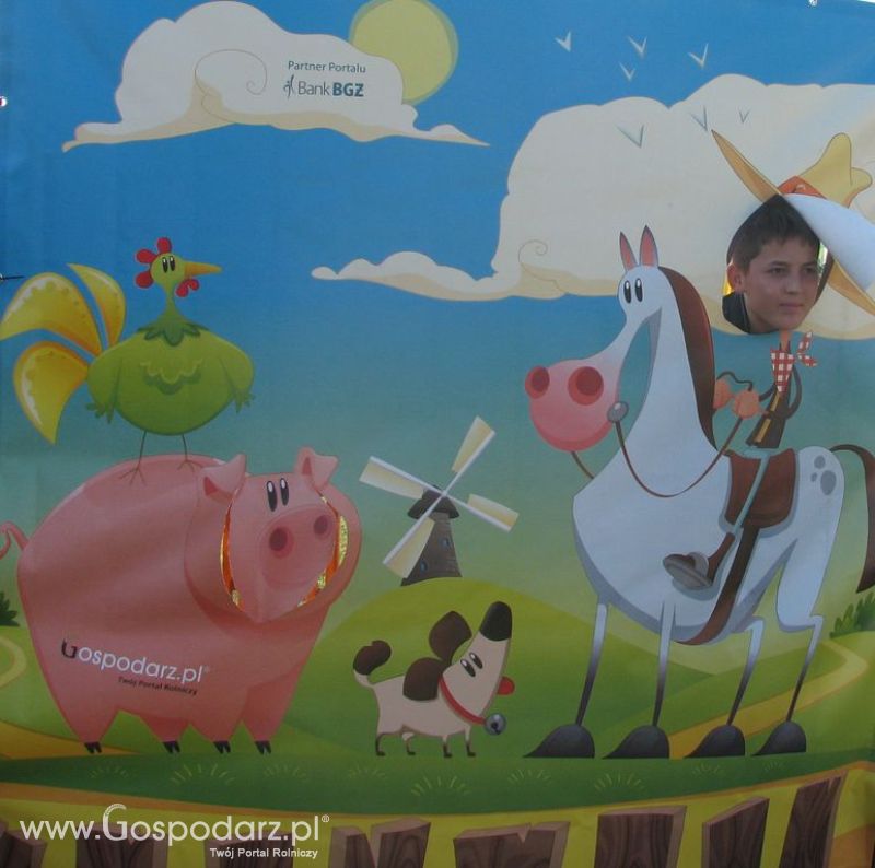 Zdjęcia ze świnką na Agro Show 2012 sobota