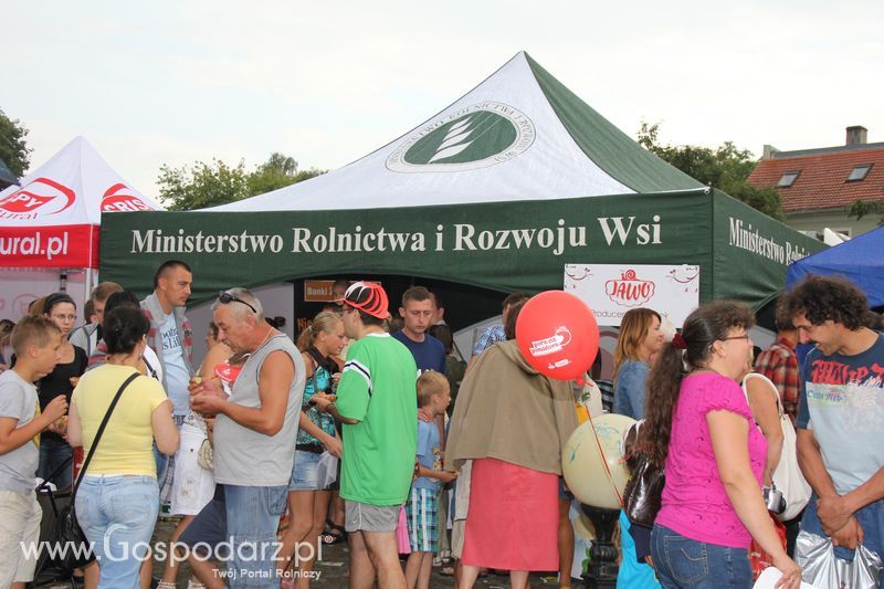 Pora na Pomidora w Gnieźnie