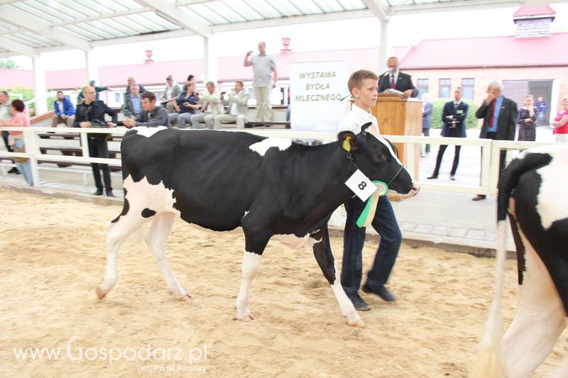 Wystawa bydła Sielinko 2011