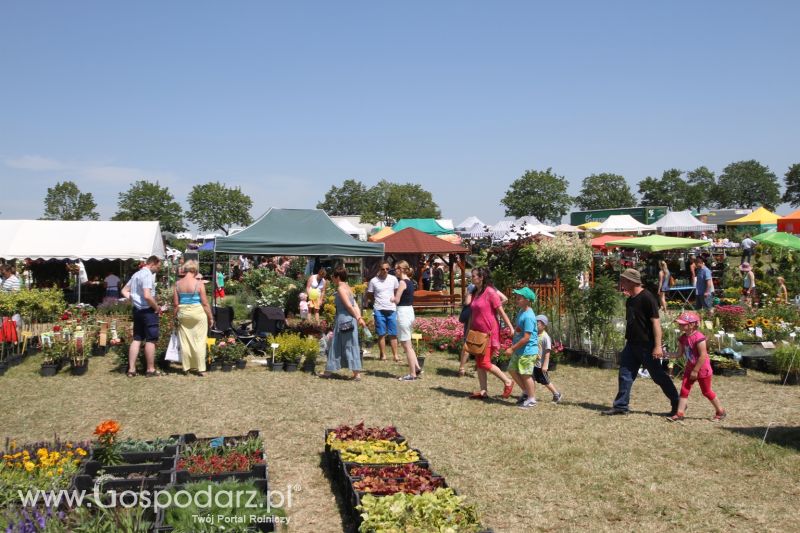 Targi Agro -Tech w Minikowie 2015