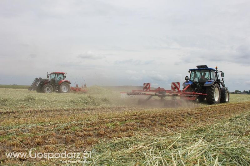 Pokazy polowe Romanów k/Krotoszyna