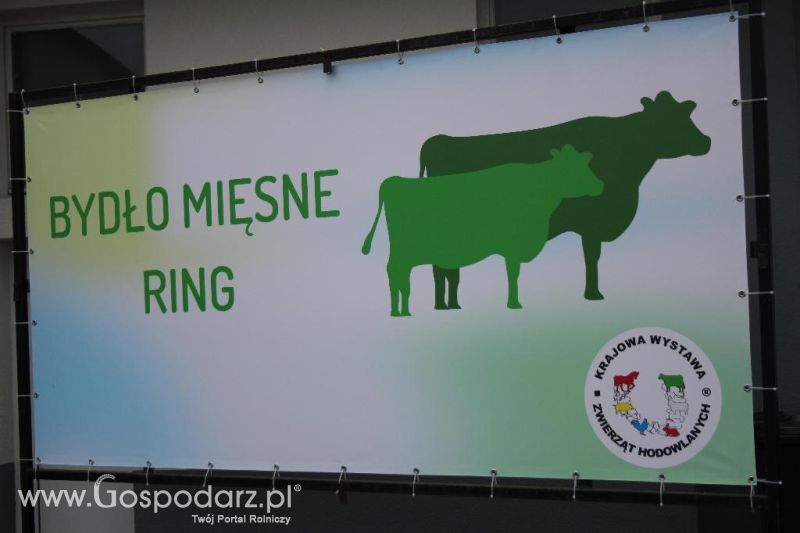 XXVI Krajowa Wystawa Zwierząt Hodowlanych - piątek