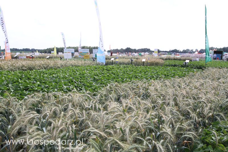 AgroTech Minikowo 2016