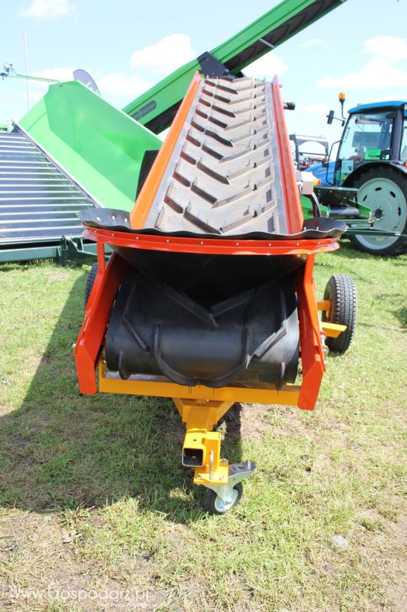 Bogart  - Minikowo 2012