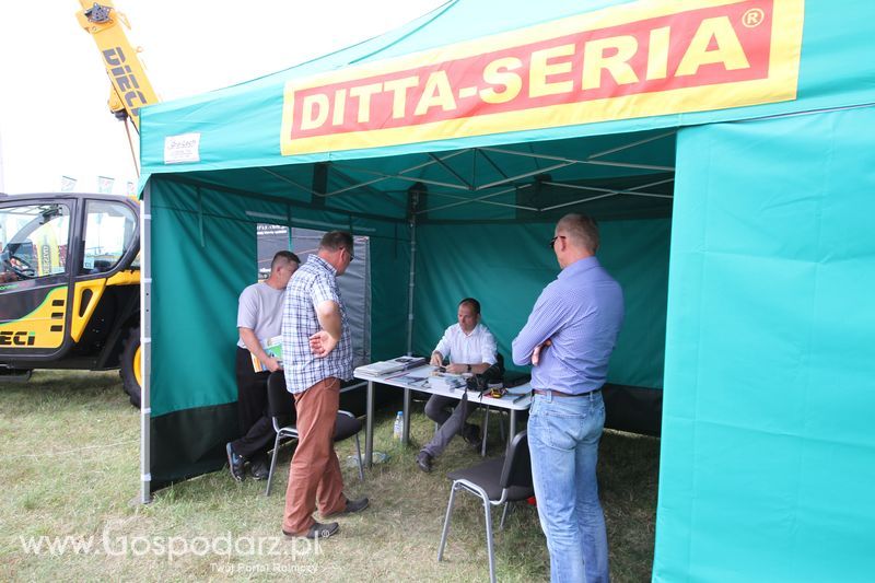 Ditta-Seria na OPOLAGRZE 2016