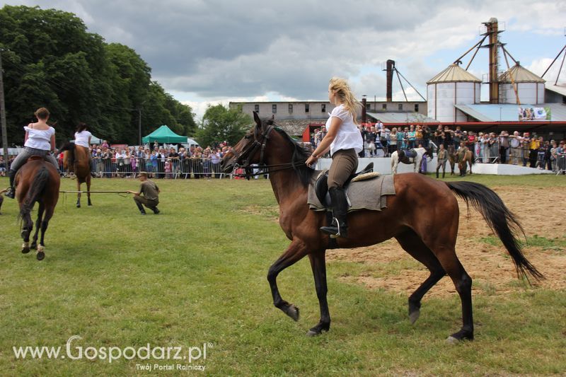 XVIII Regionalna Wystawa Zwierząt Hodowlanych i Dni z Doradztwem Rolniczym w Szepietowie - Sobota