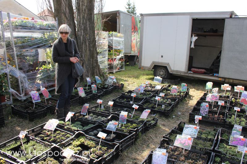 XX Agro-Targi 2011 w Starej Łubiance