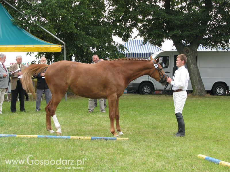 Wystawa Koni Sielinko 2011