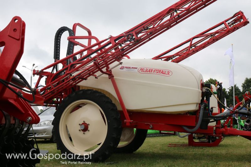 Bury na AGRO-TECH Minikowo 2017