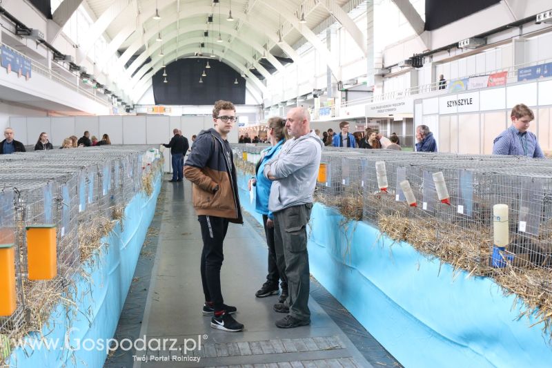 Krajowa Wystawa Zwierząt Hodowlanych w Poznaniu 2017 (sobota, 6 maja)