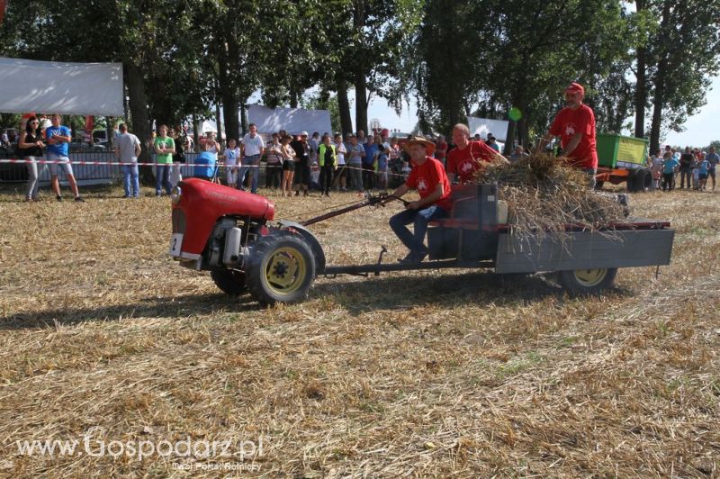 XII Festiwal Starych Ciągników im. Jerzego Samelczaka w Wilkowicach 2013 - sobota