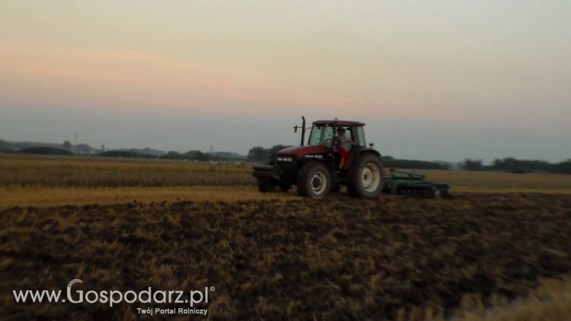Talerzowane 2013 