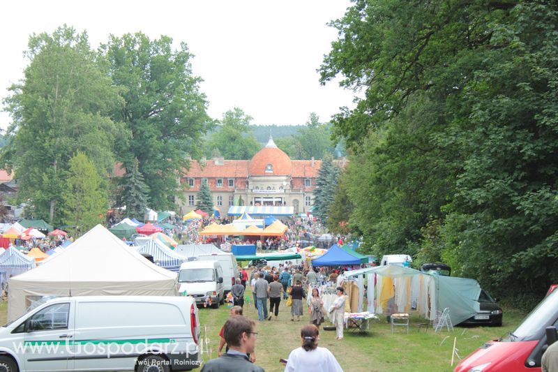  XX Targi Rolnicze Lubniewice