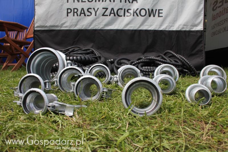 Tubes International - Minikowo 2012