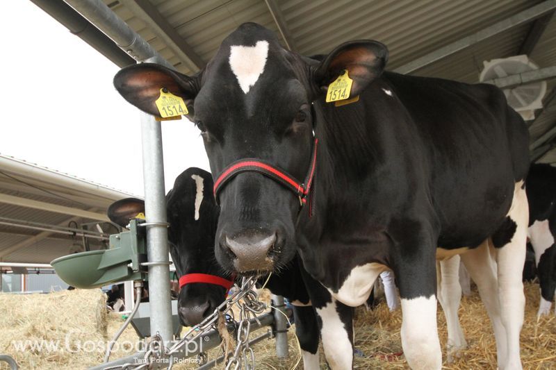 Agro-Tech Minikowo 2018