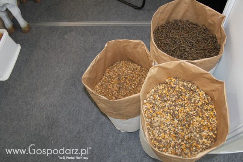 Relacja z XI Międzynarodowych Targów Fermy Bydła - dzień 2 c.d.
