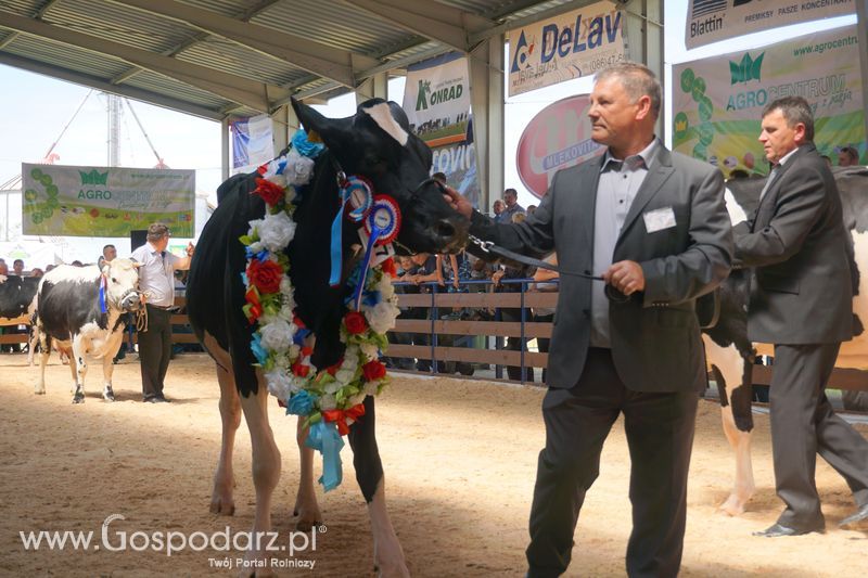 Wystawa zwierząt w Szepietowie