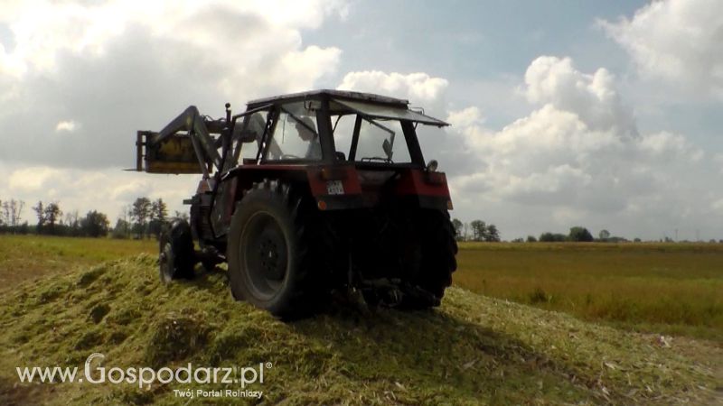 Kiszonka 2013