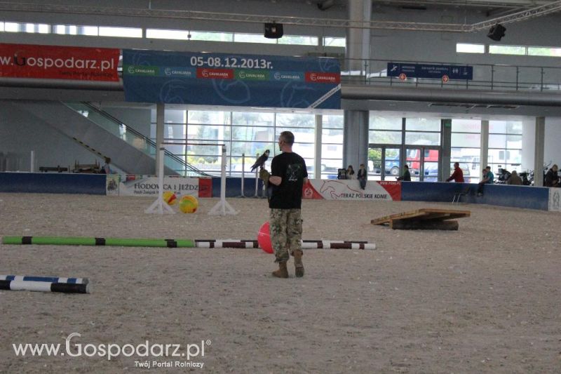 XXVI Krajowa Wystawa Zwierząt Hodowlanych - sobota i niedziela
