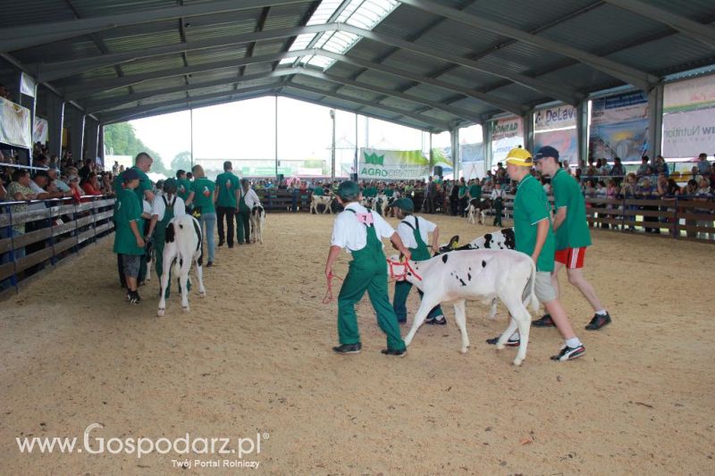 Młody Hodowca - Szepietowo 2013 XX Regionalna Wystawa Zwierząt Hodowlanych