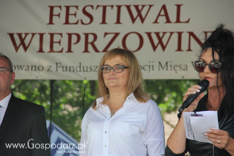 IV Ogólnopolski Festiwal Wieprzowiny - Koźmin Wlkp 2016