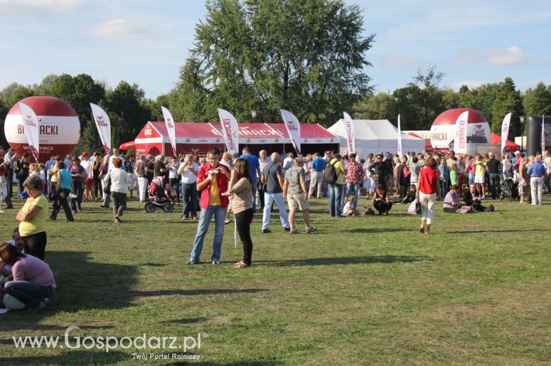 Świętomięs Polski w Chorzowie