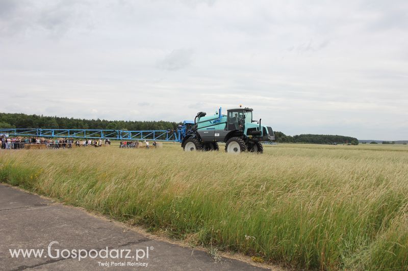 Opolagra 2011