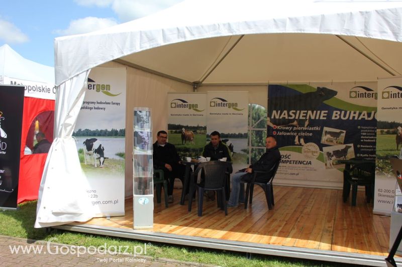 VII Ogólnopolska Wystawa Bydła Hodowlanego - Sielinko 2012