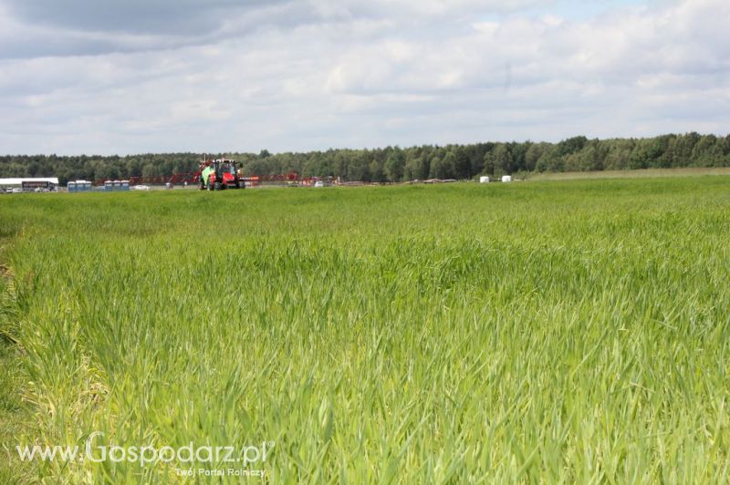 Zielone Agro Show 2012 Kąkolewo - Polskie Zboża 