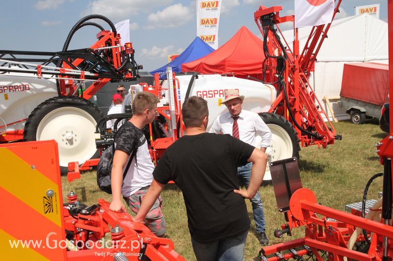 Maschio Gaspardoona na OPOLAGRA Kamień Śląski 2018