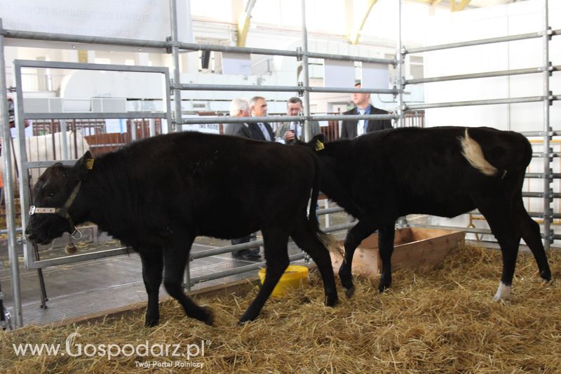 KWZH, Polagra Food poniedziałek-wtorek