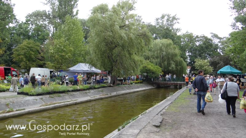 Pałuckie Targi Rolne 2014