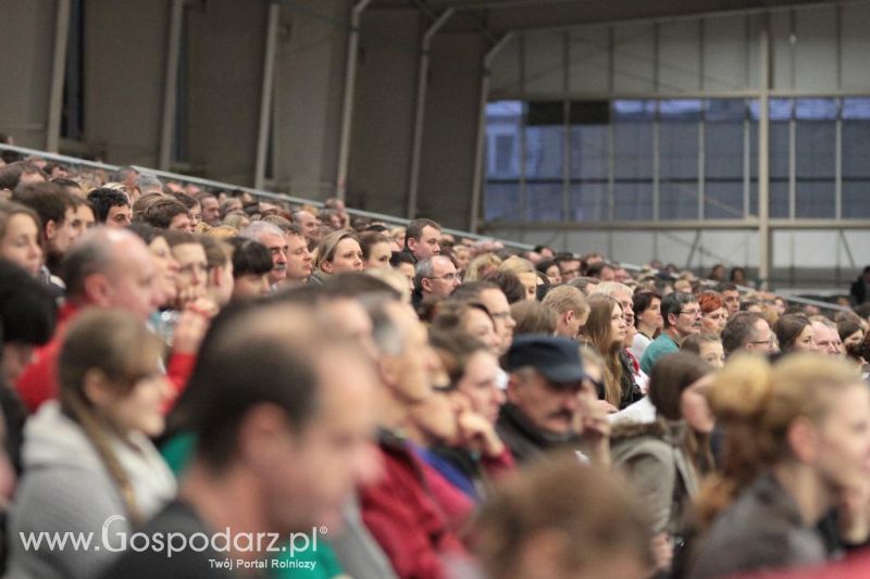 CAVALIADA 2013 w Poznaniu