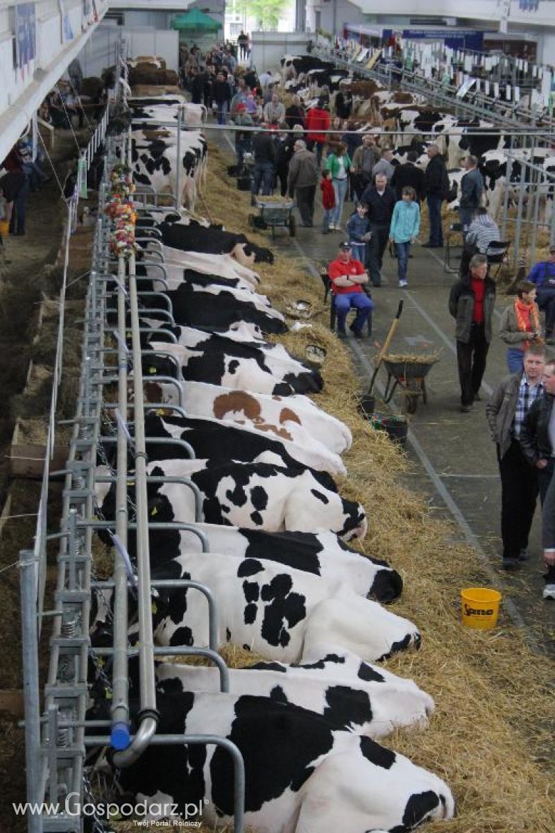 XXVI Krajowa Wystawa Zwierząt Hodowlanych - sobota i niedziela