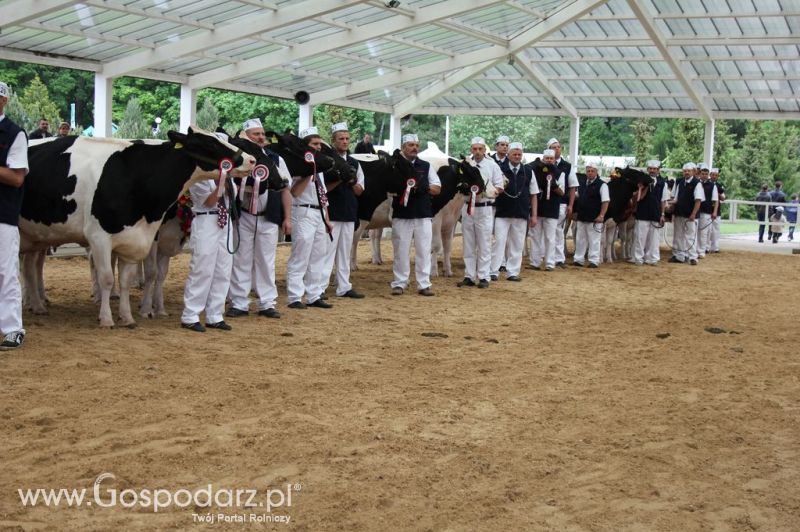 Prezentacja Championów na VII Ogólnopolskiej Wystawie Bydła Hodowlanego w Sielinku 2012