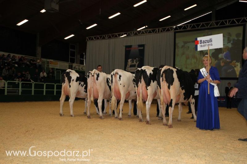 Wystawa  Blickpunkt Rind 2013 w miejscowości Paaren/Glien (Niemcy)