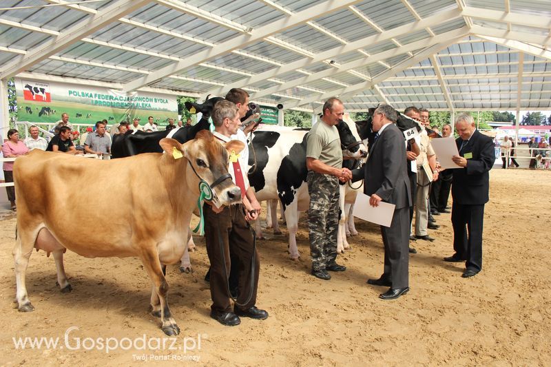 Czempioni XVII Regionalnej Wystawy Zwierząt Hodowlanych Sielinko 2011