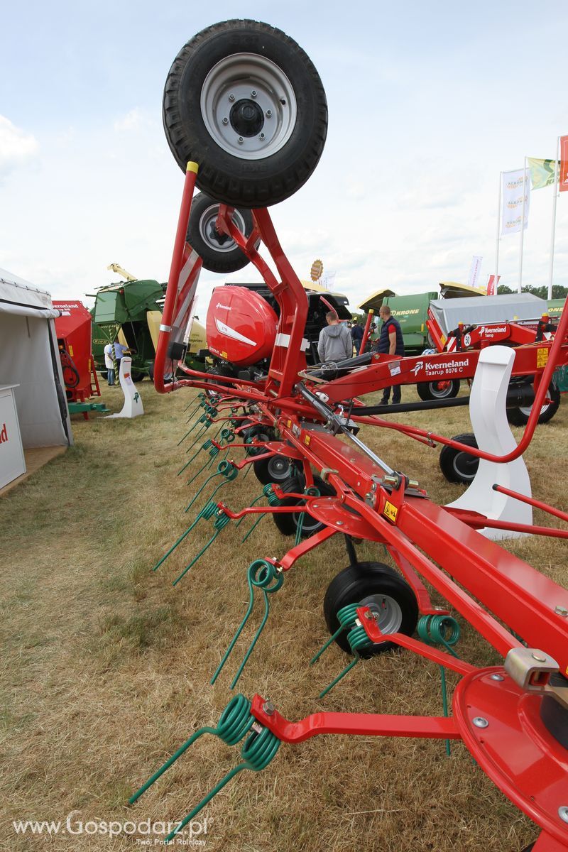 Zielone AGRO SHOW - Polskie Zboża 2015 w Sielinku