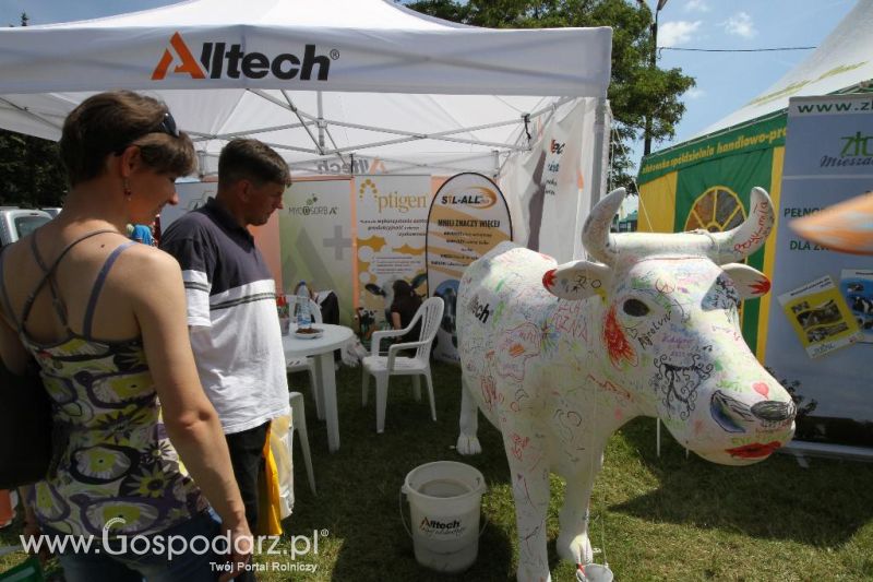 AGRO-TECH w Minikowie 2013