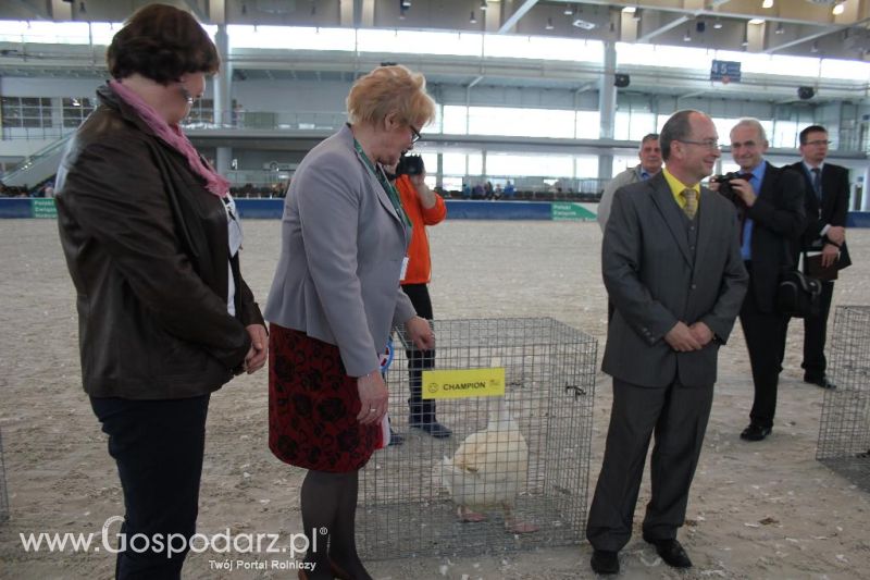 XXVI Krajowa Wystawa Zwierząt Hodowlanych - sobota i niedziela
