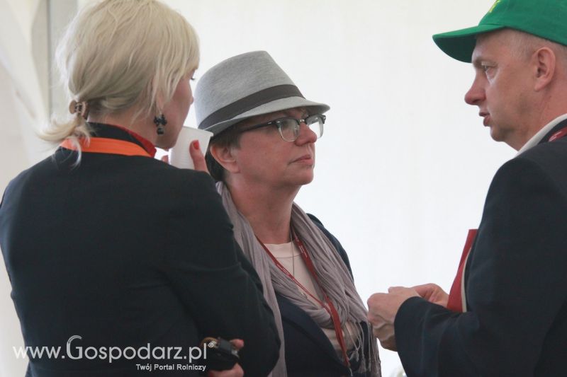 Festiwal Wieprzowiny w Bełżycach - niedziela