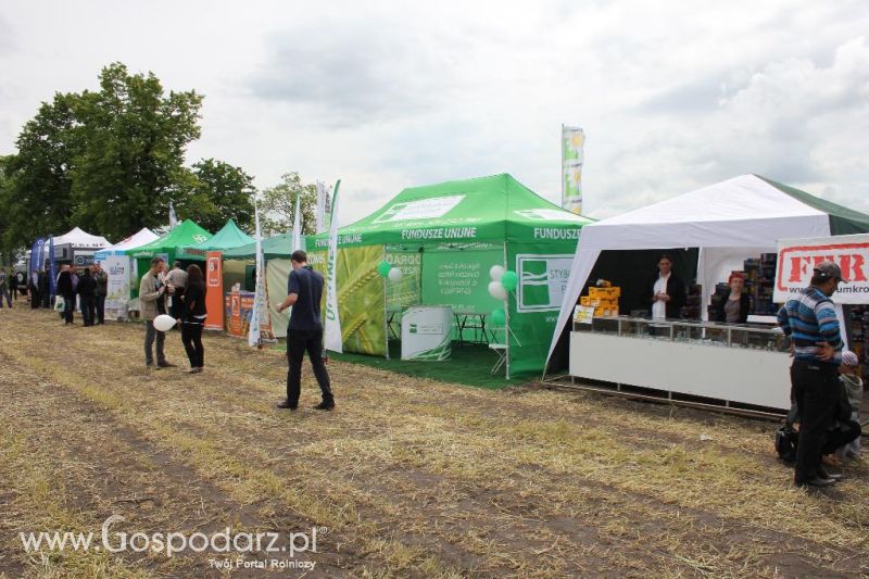 Pokazy polowe Romanów k/Krotoszyna