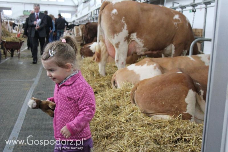 XXVI Krajowa Wystawa Zwierząt Hodowlanych - sobota i niedziela