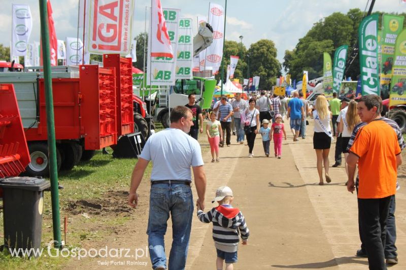 Regionalna Wystawa Zwierząt Hodowlanych i Dni z Doradztwem Rolniczym w Szepietowie-sobota