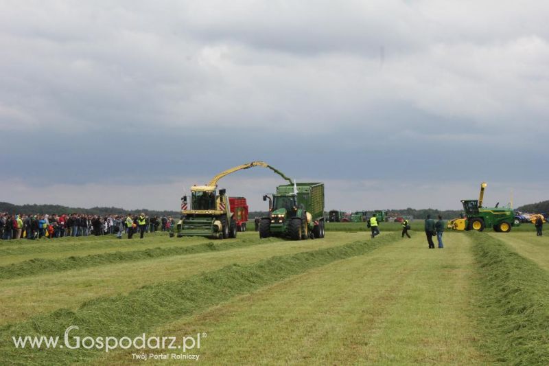 Pokazy maszyn Polskie Zboża Zielone Agro Show 2013