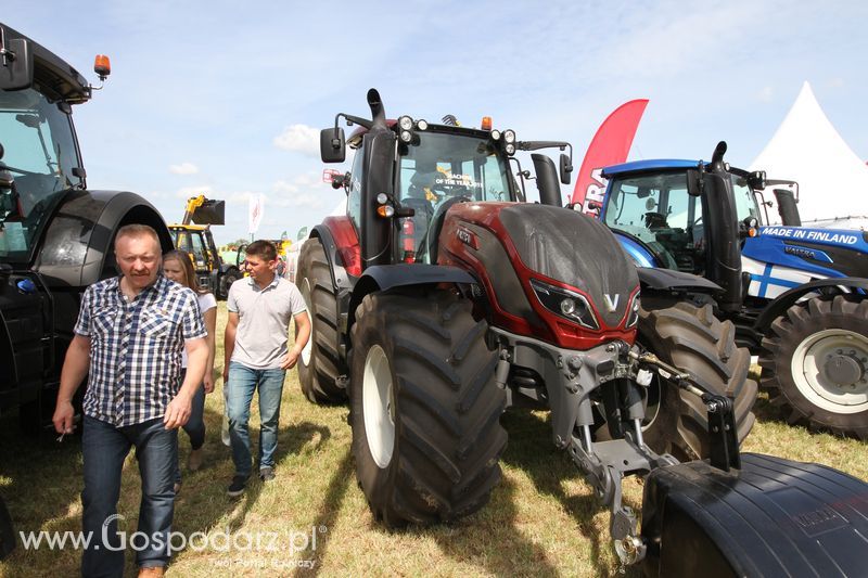 Zielone AGRO SHOW - Polskie Zboża 2015 w Sielinku