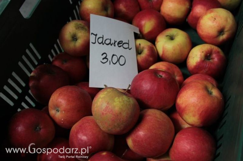 Relacja z XI Międzynarodowych Targów Fermy Bydła - dzień 3